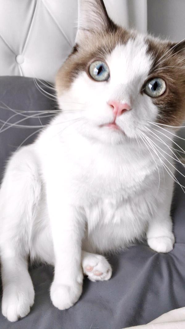 /Images/uploads/Humane Society of Utah/HSUCalendar/entries/679thumb.jpg